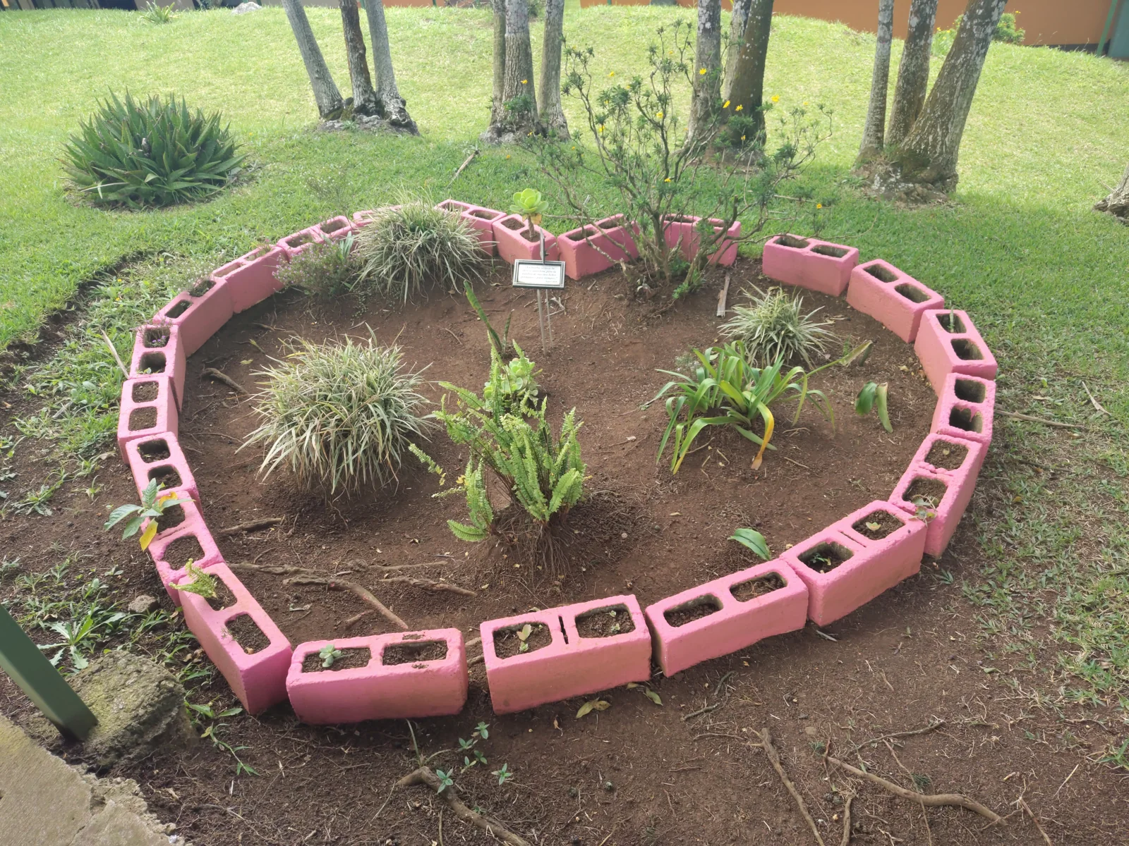 Jardines de Renacer